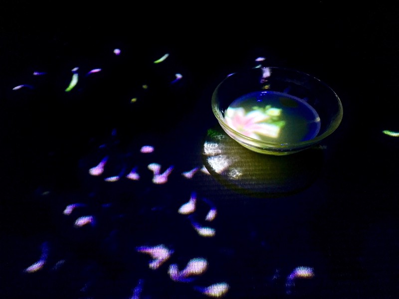 Moving the tea bowl scatters petals on the table.