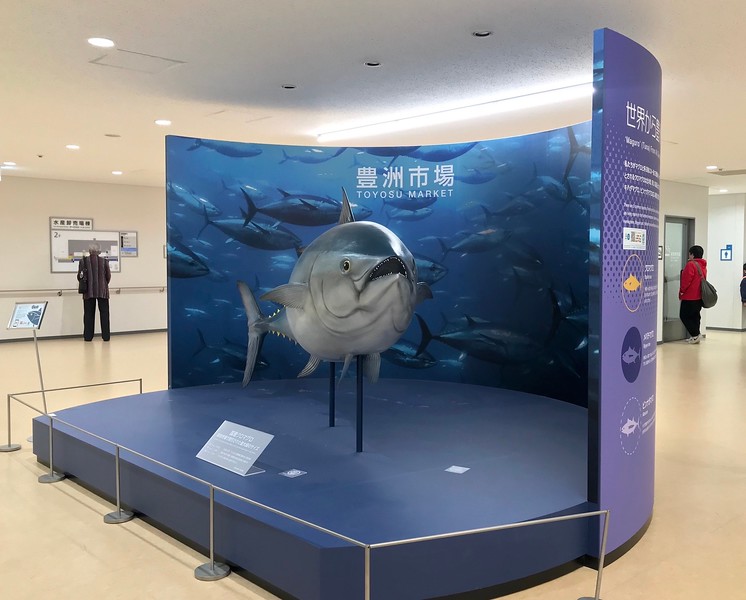 A tuna fish display in one of the observation galleries.
