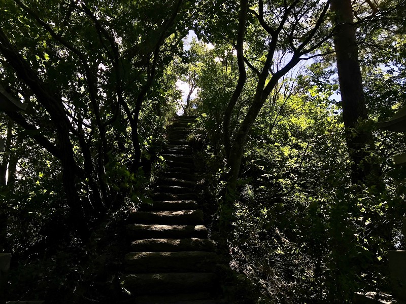 A narrow set of stone steps.