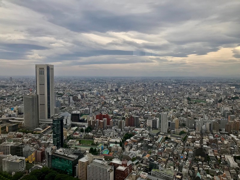 Tokyo Metropolitan Government Offices Observation Deck Tokyo Metropolitan Government Offices Observation Deck
