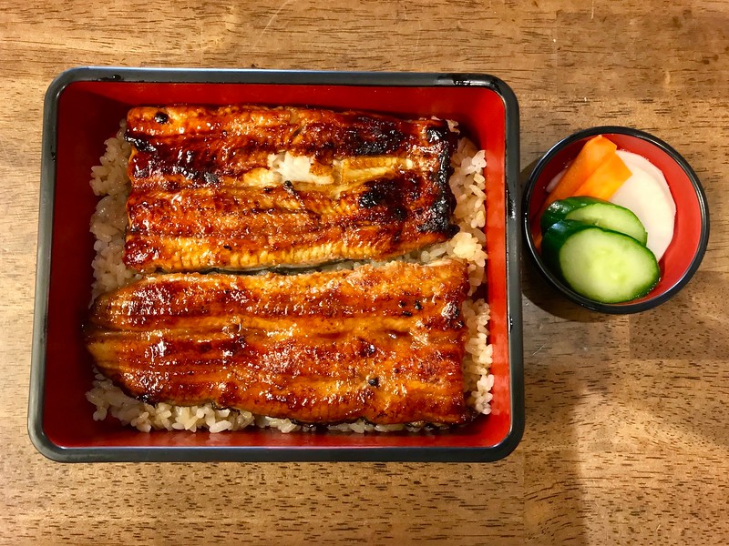 A delicious bowl of una-don at Kawatoyo.