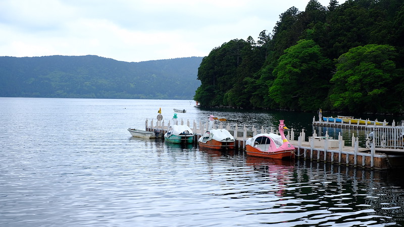 Pedal-operated swan shaped boats on Lake Ashinoko.