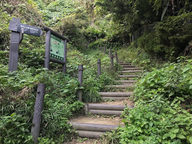 Along the hiking trail.