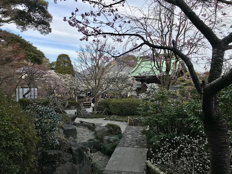 Inside Hasedera Temple.