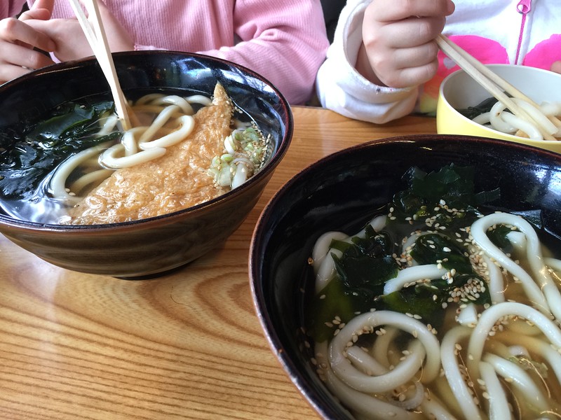 Udon noodles