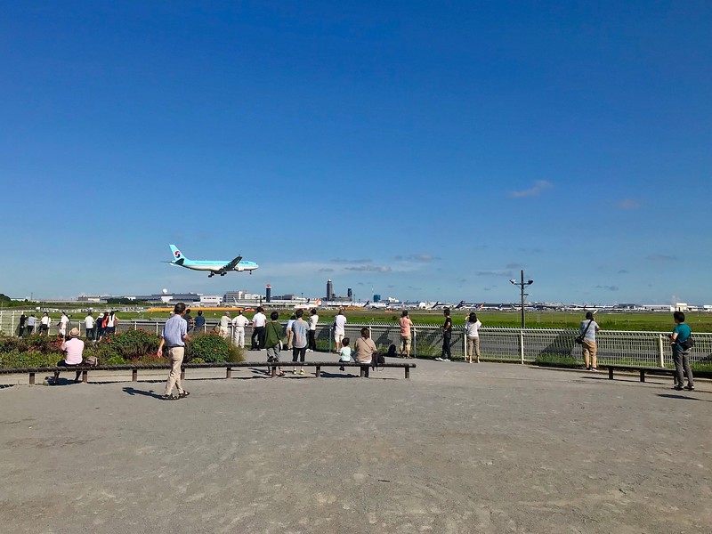 Watching planes take off and land from Sakuranoyama Park.