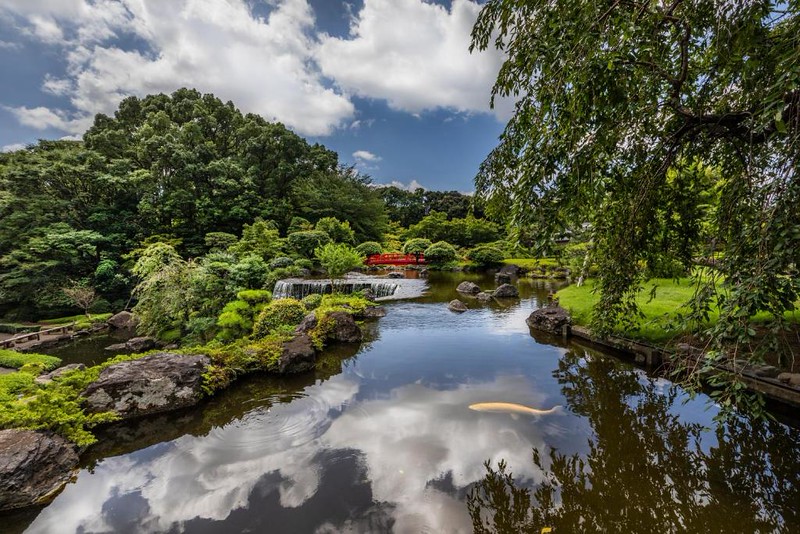 The garden on a sunny day at the Hotel New Otani Tokyo Executive House Zen with trees and goldfish in the waterfall pond The garden on a sunny day at the Hotel New Otani Tokyo Executive House Zen with trees and goldfish in the waterfall pond