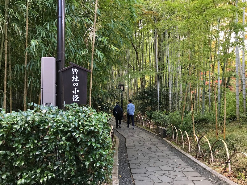 The bamboo path is well-paved and clearly signposted.