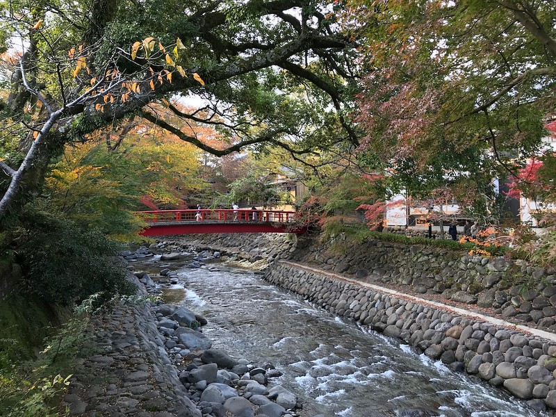 The view is gorgeous in autumn.