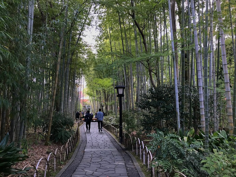 A narrow stone path flanked by tall bamboo.