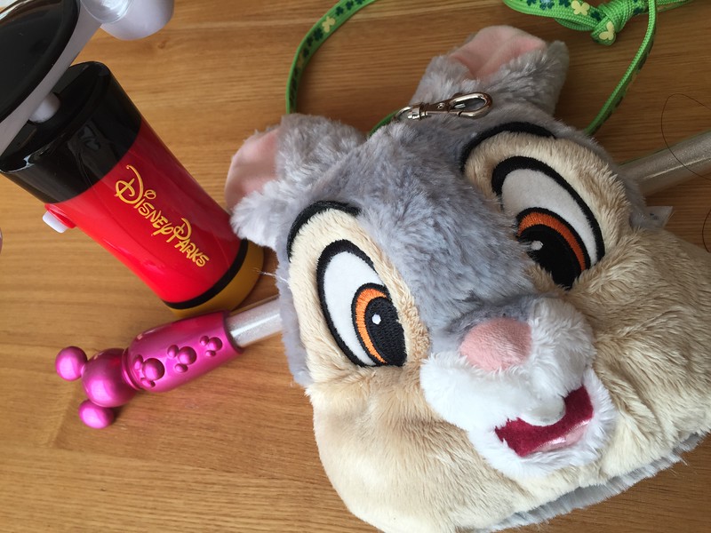 The things you will find in the back of your closet The things you will find in the back of your closet