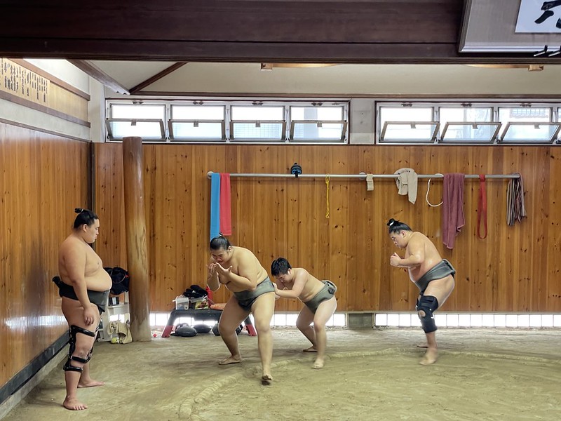 Sumo conga line copyright Chris Rowthorn