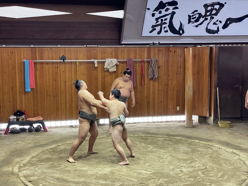 The kid gets a workout copyright Chris Rowthorn