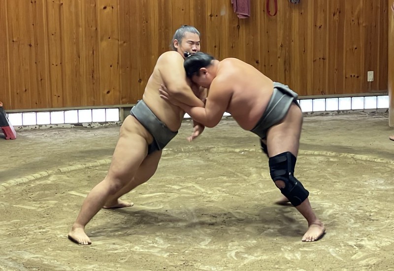 Senior wrestlers sparring copyright Chris Rowthorn