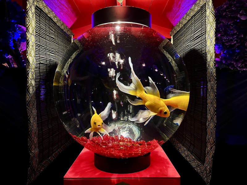Two fantailed goldfish in a spherical tank in the Art Aquarium in Mitsukoshi Ginza, Tokyo