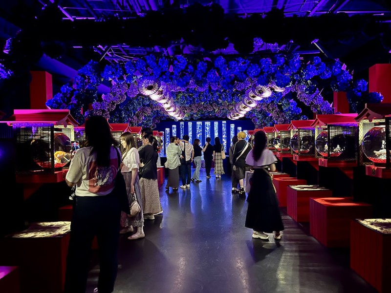People looking at rows of small tanks of goldfish in the Art Aquarium in Mitsukoshi Ginza, Tokyo