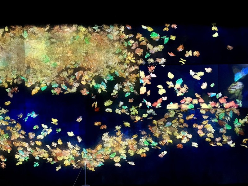 Butterflies Falling and Dissolving into the World – one of the teamLab Borderless artworks” copyright Florentyna Leow