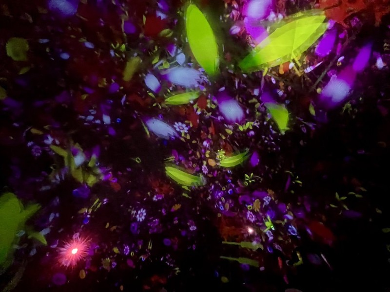 Abstract projections of colorful flowers and leaves, creating a dreamlike mosaic in the teamLab Planets museum, Tokyo, Japan